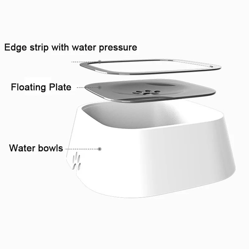 AquaPaw Hydration Bowl