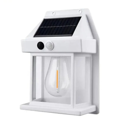 EcoGuard Solar Motion Wall Light